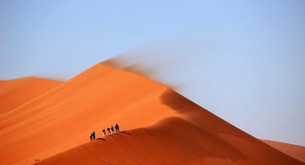 Quelles sont les activités au Sahara ?